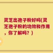 灵芝出孢子粉好吗(灵芝孢子粉的功效和作用，你了解吗？)
