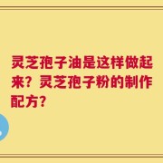 灵芝孢子油是这样做起来？灵芝孢子粉的制作配方？