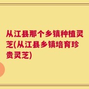 从江县那个乡镇种植灵芝(从江县乡镇培育珍贵灵芝)