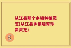 从江县那个乡镇种植灵芝(从江县乡镇培育珍贵灵芝)