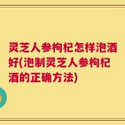 灵芝人参枸杞怎样泡酒好(泡制灵芝人参枸杞酒的正确方法)