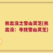 熊出没之雪山灵芝(熊出没：寻找雪山灵芝)