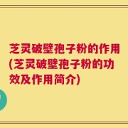 芝灵破壁孢子粉的作用(芝灵破壁孢子粉的功效及作用简介)