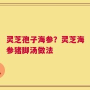 灵芝孢子海参？灵芝海参猪脚汤做法