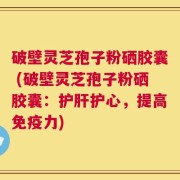 破壁灵芝孢子粉硒胶囊 (破壁灵芝孢子粉硒胶囊：护肝护心，提高免疫力)