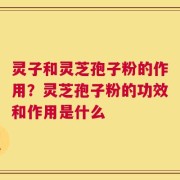 灵子和灵芝孢子粉的作用？灵芝孢子粉的功效和作用是什么