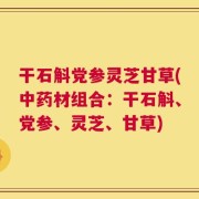 干石斛党参灵芝甘草(中药材组合：干石斛、党参、灵芝、甘草)