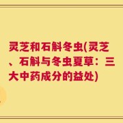 灵芝和石斛冬虫(灵芝、石斛与冬虫夏草：三大中药成分的益处)