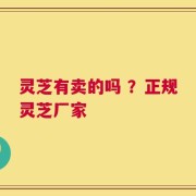 灵芝有卖的吗 ？正规灵芝厂家