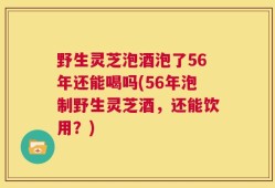 野生灵芝泡酒泡了56年还能喝吗(56年泡制野生灵芝酒，还能饮用？)