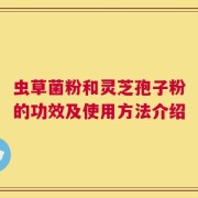虫草菌粉和灵芝孢子粉的功效及使用方法介绍
