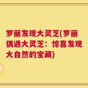 罗丽发现大灵芝(罗丽偶遇大灵芝：惊喜发现大自然的宝藏)