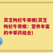 灵芝枸杞牛蒡根(灵芝枸杞牛蒡根：营养丰富的中草药组合)