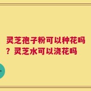 灵芝孢子粉可以种花吗？灵芝水可以浇花吗
