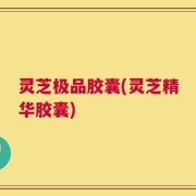 灵芝极品胶囊(灵芝精华胶囊)
