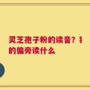 灵芝孢子粉的读音？犭的偏旁读什么