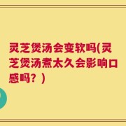 灵芝煲汤会变软吗(灵芝煲汤煮太久会影响口感吗？)