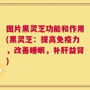 图片黑灵芝功能和作用(黑灵芝：提高免疫力，改善睡眠，补肝益肾)