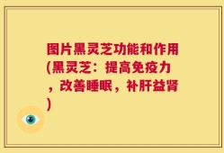 图片黑灵芝功能和作用(黑灵芝：提高免疫力，改善睡眠，补肝益肾)