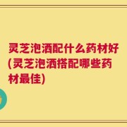 灵芝泡洒配什么药材好(灵芝泡洒搭配哪些药材最佳)