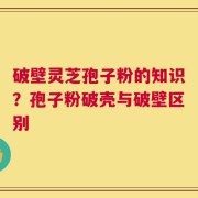破壁灵芝孢子粉的知识？孢子粉破壳与破壁区别