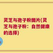 灵芝与孢子粉图片(灵芝与孢子粉：自然健康的选择)