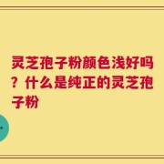灵芝孢子粉颜色浅好吗？什么是纯正的灵芝孢子粉