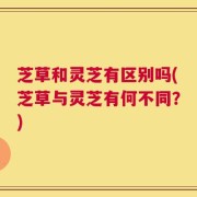 芝草和灵芝有区别吗(芝草与灵芝有何不同？)