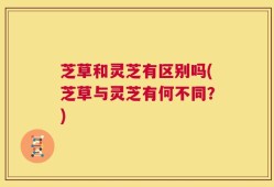 芝草和灵芝有区别吗(芝草与灵芝有何不同？)