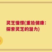 灵芝憧憬(重拾健康：探索灵芝的潜力)