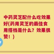 中药灵芝配什么吃效果好(药用灵芝的最佳食用搭档是什么？效果很赞！)