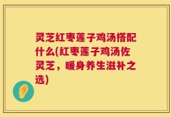 灵芝红枣莲子鸡汤搭配什么(红枣莲子鸡汤佐灵芝，暖身养生滋补之选)