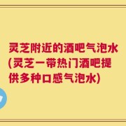 灵芝附近的酒吧气泡水(灵芝一带热门酒吧提供多种口感气泡水)