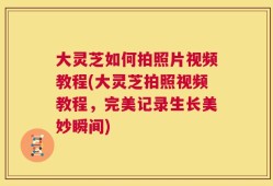 大灵芝如何拍照片视频教程(大灵芝拍照视频教程，完美记录生长美妙瞬间)