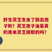 野生灵芝生虫了敲出孢子粉？灵芝孢子油是真的用来灵芝提取的吗？