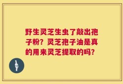 野生灵芝生虫了敲出孢子粉？灵芝孢子油是真的用来灵芝提取的吗？