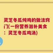 灵芝冬瓜炖鸡的做法窍门(一份营养滋补美食：灵芝冬瓜鸡汤)