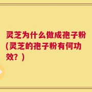 灵芝为什么做成孢子粉(灵芝的孢子粉有何功效？)