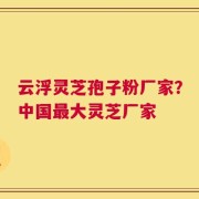 云浮灵芝孢子粉厂家？中国最大灵芝厂家