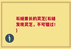 石缝里长的灵芝(石缝发现灵芝，不可错过！)