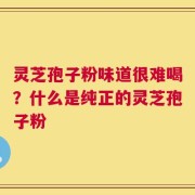 灵芝孢子粉味道很难喝？什么是纯正的灵芝孢子粉