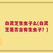 白灵芝生虫子么(白灵芝是否含有生虫子？)