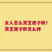 女人怎么灵芝孢子粉？灵芝孢子粉怎么种