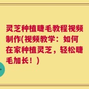 灵芝种植睫毛教程视频制作(视频教学：如何在家种植灵芝，轻松睫毛加长！)