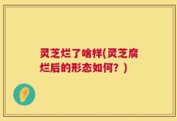 灵芝烂了啥样(灵芝腐烂后的形态如何？)