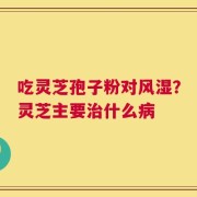 吃灵芝孢子粉对风湿？灵芝主要治什么病
