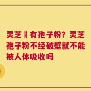 灵芝沒有孢子粉？灵芝孢子粉不经破壁就不能被人体吸收吗