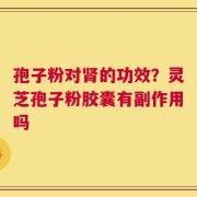 孢子粉对肾的功效？灵芝孢子粉胶囊有副作用吗