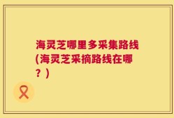 海灵芝哪里多采集路线(海灵芝采摘路线在哪？)