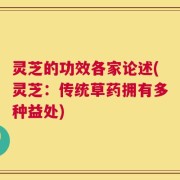 灵芝的功效各家论述(灵芝：传统草药拥有多种益处)